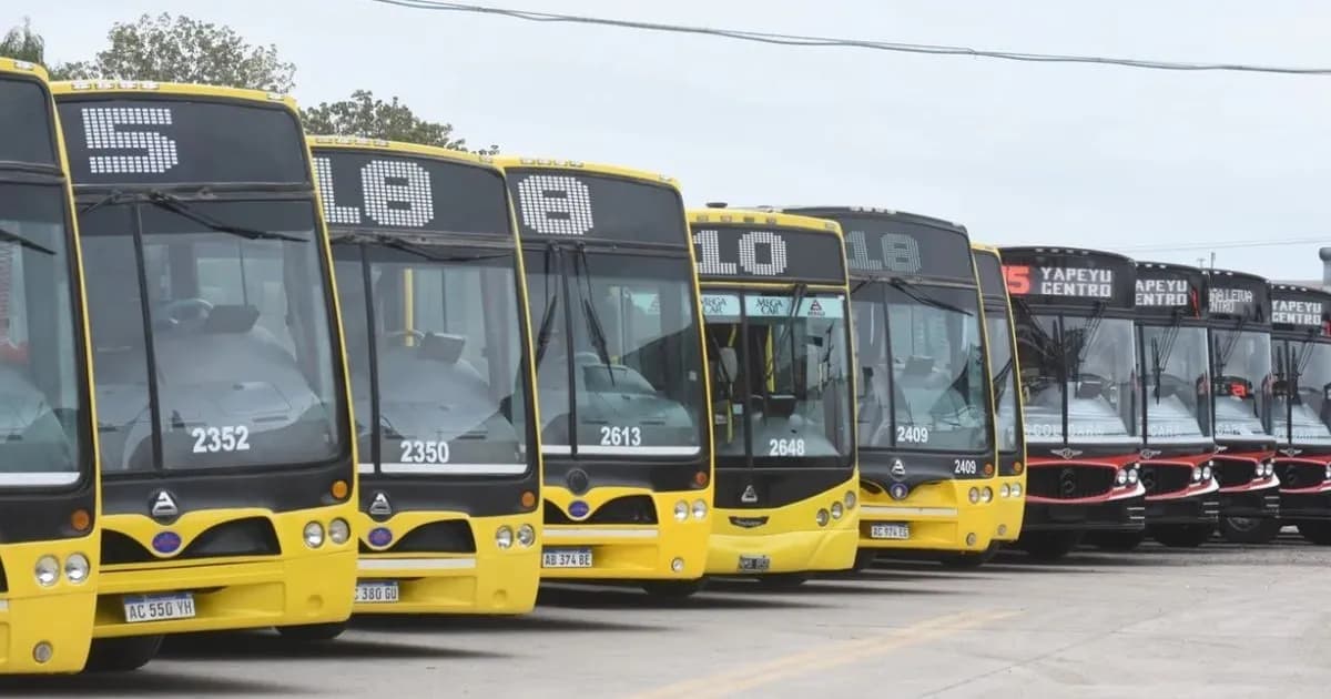 Crisis del transporte: alertan sobre recortes y pagos complicados en las provincias