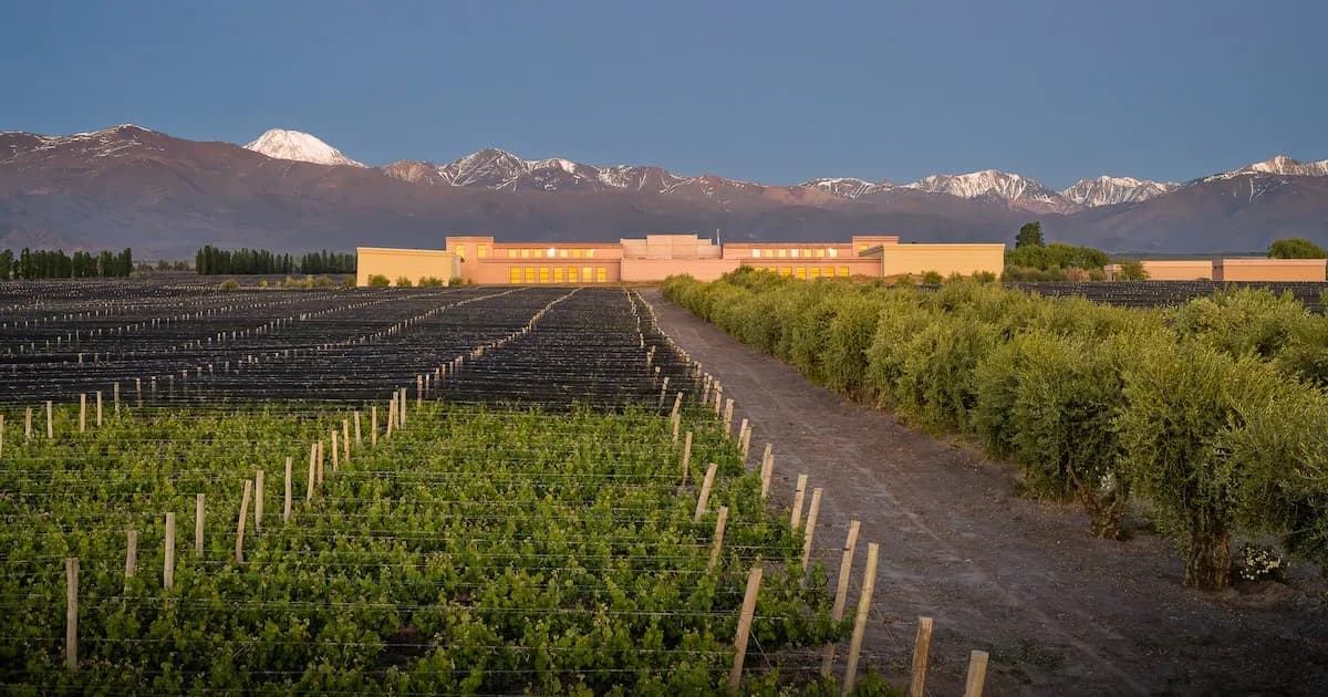 Un Malbec argentino brilla entre los 50 mejores vinos del mundo en 2026