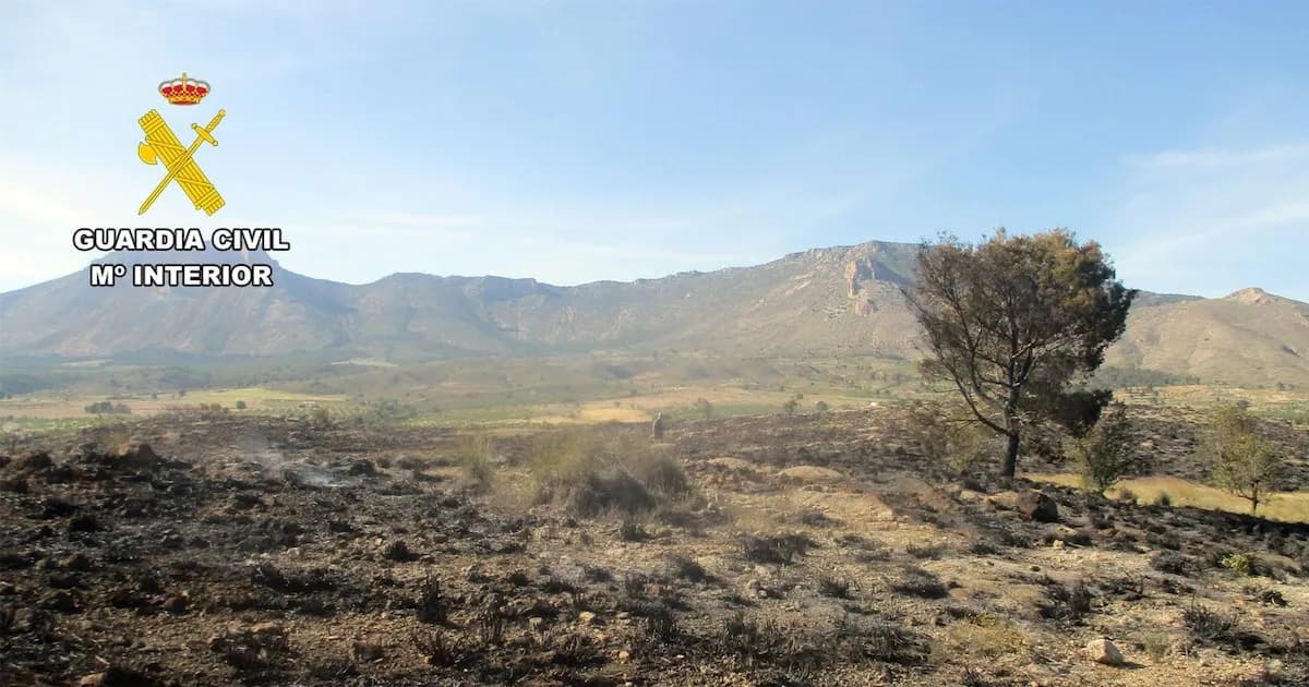 Investigan a agricultor por incendio forestal en Lorca tras quema imprudente de restos