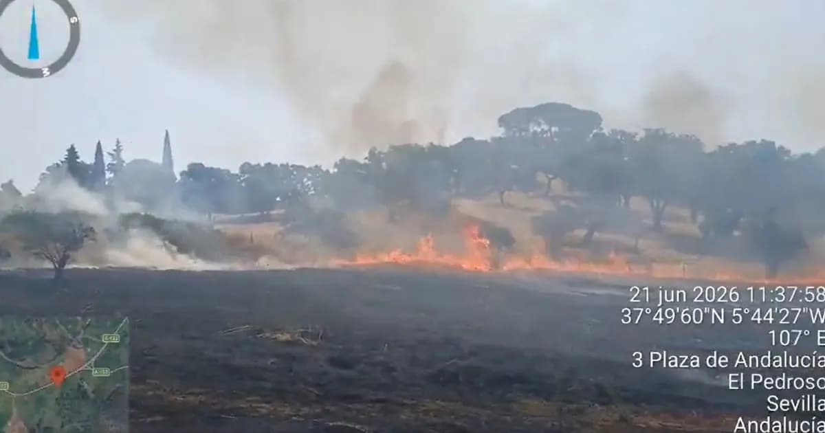 Reabren la A-432 tras incendio forestal en El Pedroso