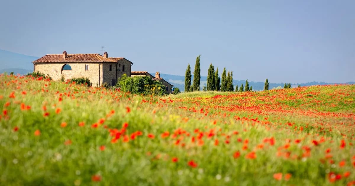 Serbia ofrece 13.000 euros para que ciudadanos se muden al campo