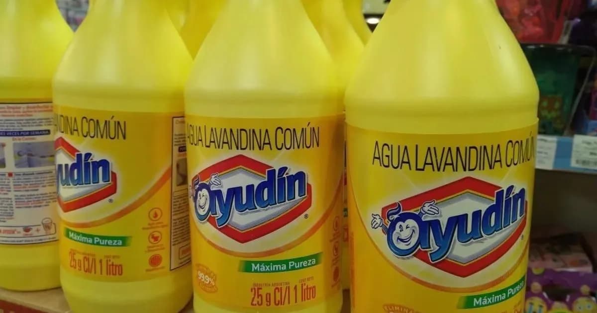 Apex Capital evalúa vender Grupo Ayudín tras dos años de adquisición