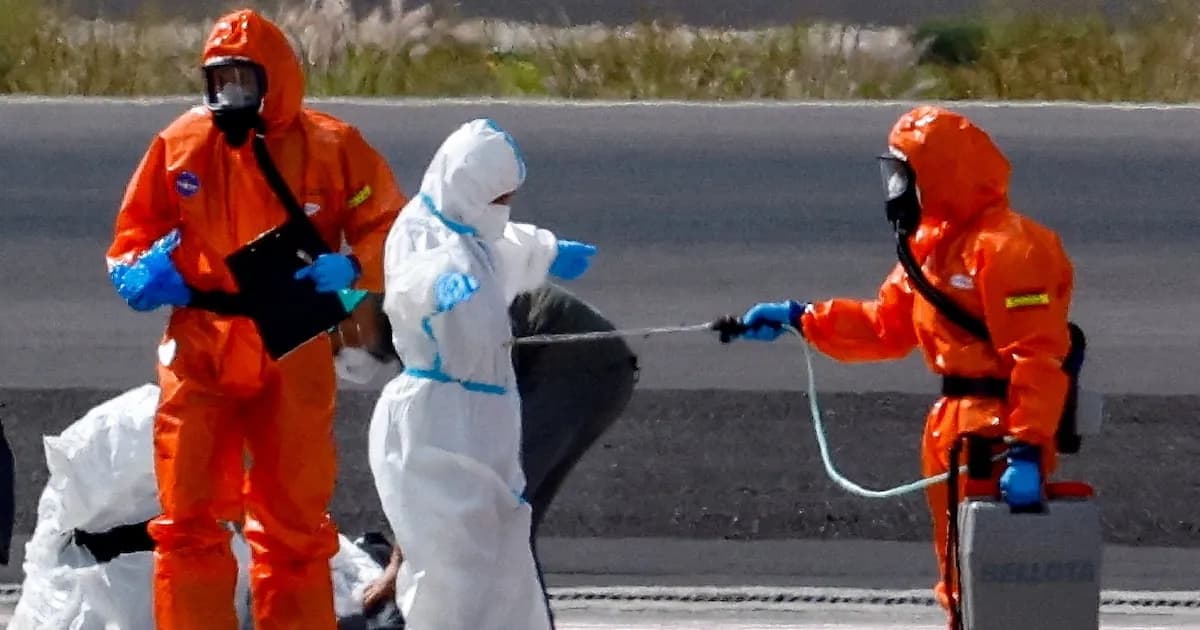 La OMS considera poner fin al brote de hantavirus vinculado al crucero MV Hondius