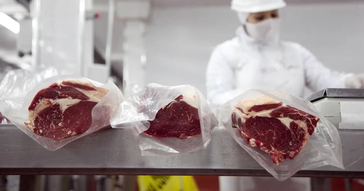 Revolución en exportaciones: Carne argentina a EE. UU. crece un 369% en mayo