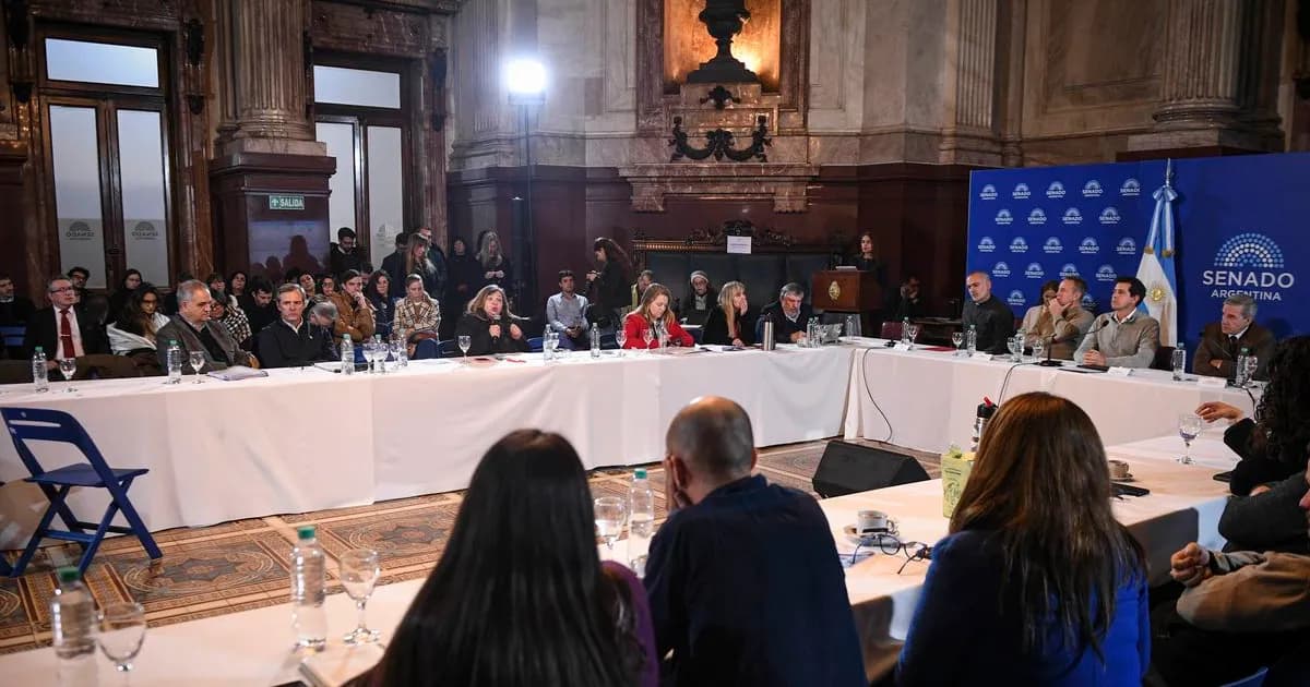 Rechazo en el Senado a la Ley de Inviolabilidad de la Propiedad Privada