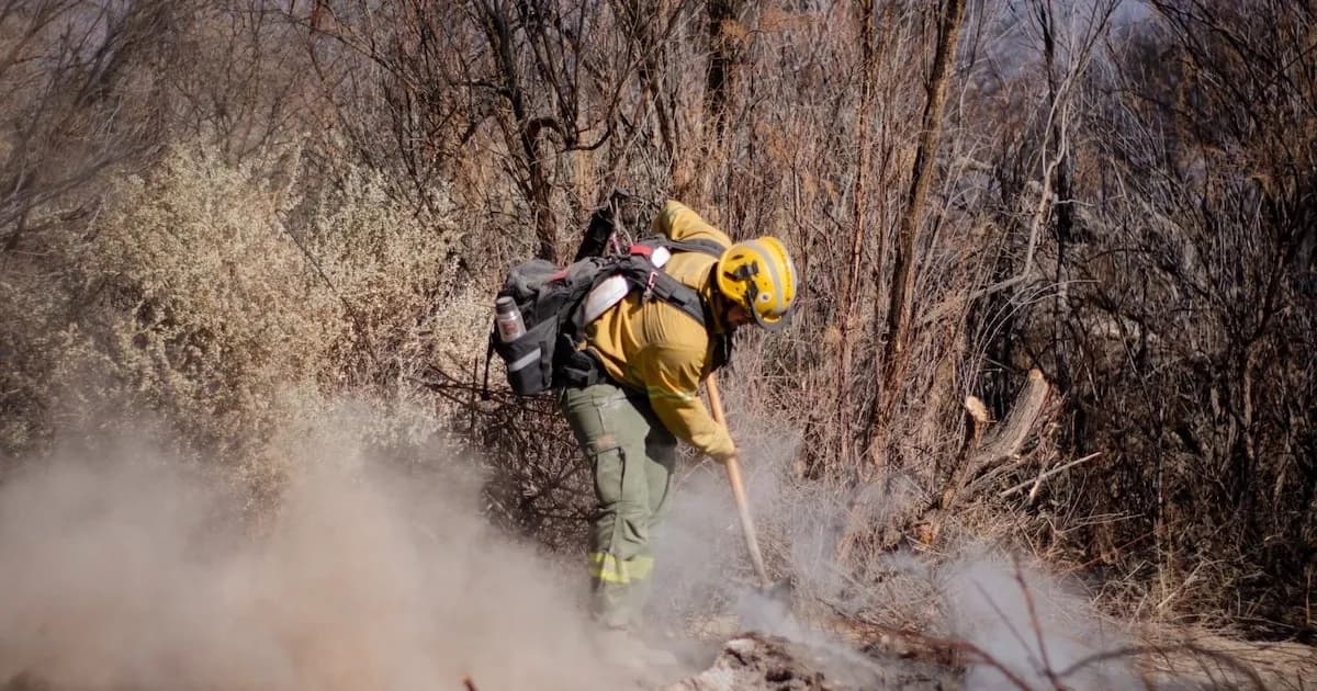 Incendios en Cafayate: Controlados tras devastar más de 200 hectáreas de bosque nativo