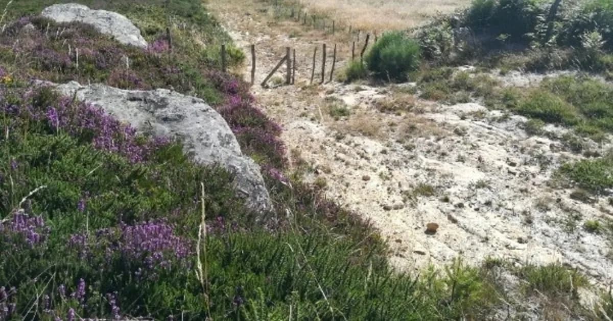 SEO/BirdLife rechaza el parque eólico Anjana por sus impactos ambientales negativos