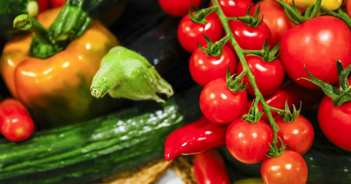 Messe Berlin Americas y el CNA de México se unen para potenciar el agroalimentario nacional
