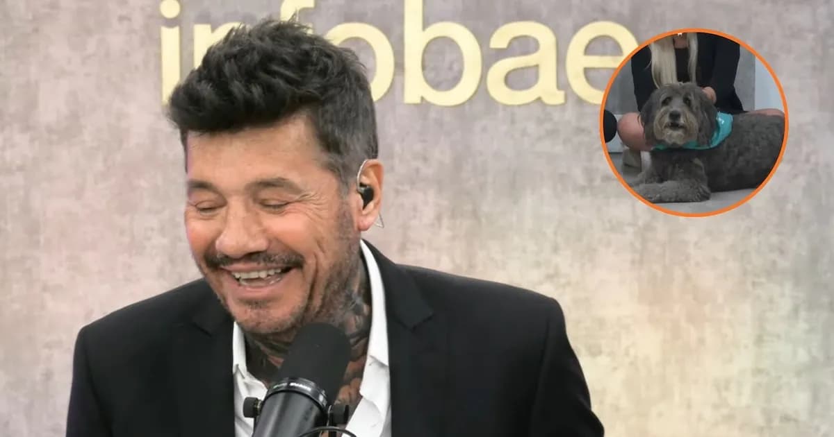 Ozzy, el perro pronosticador, genera risas antes del duelo entre Portugal y Colombia