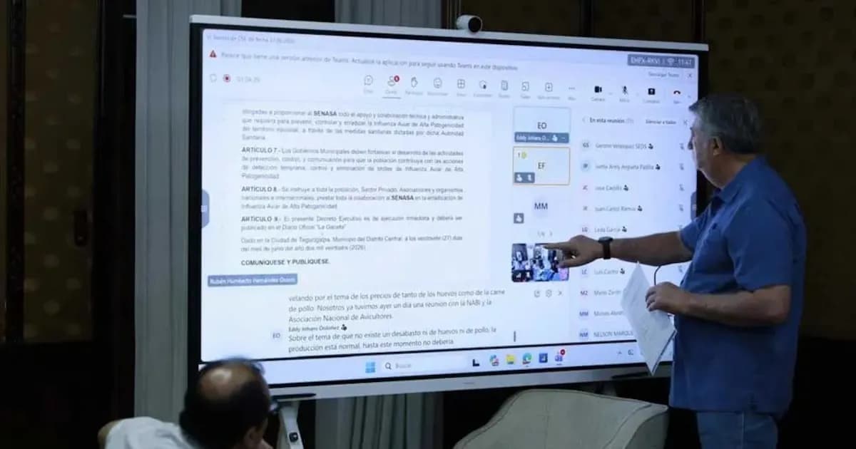 Gobierno argentino declara emergencia por gripe aviar y asegura continuidad de inversiones