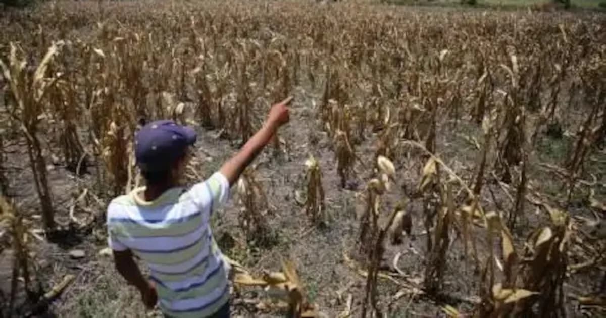 Honduras enfrentará un incremento de la inseguridad alimentaria hacia 2026