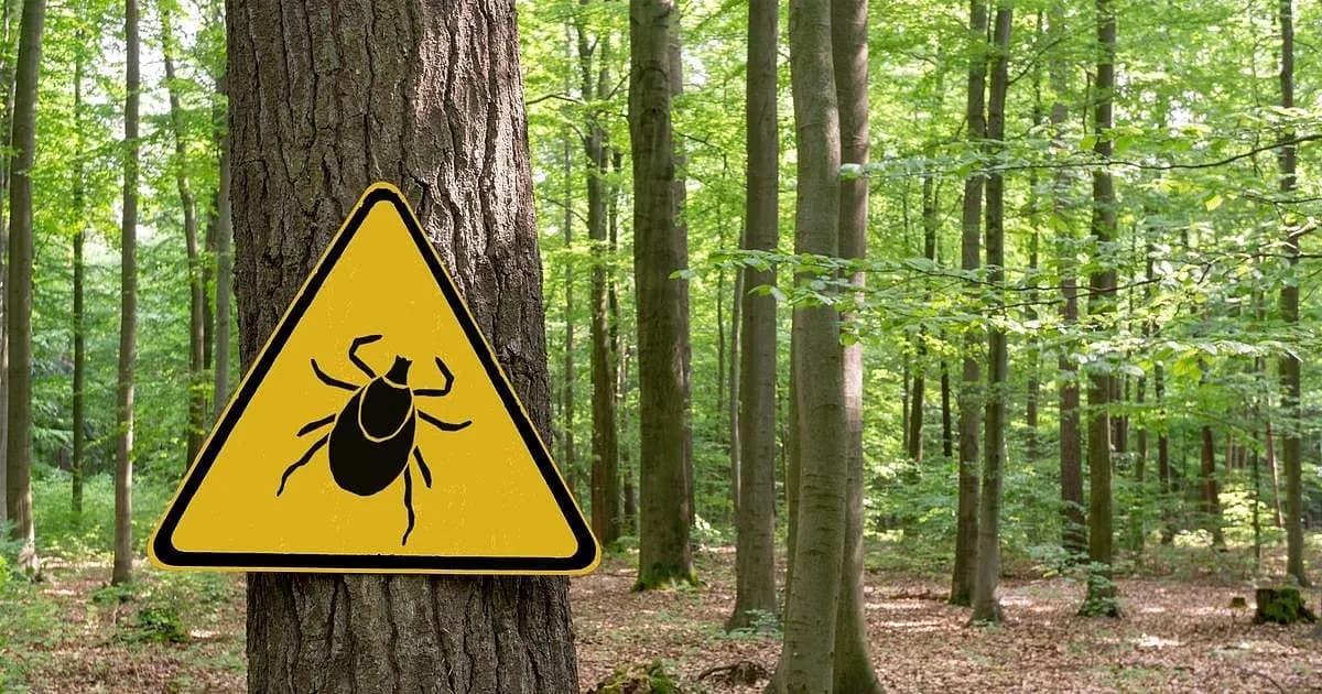 Aumento del virus Powassan: un peligro latente en EE. UU. por el cambio climático
