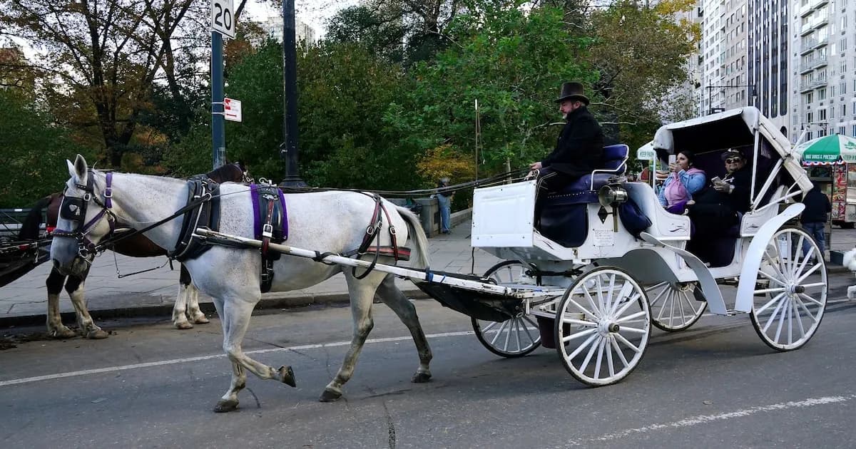 Los paseos en carruajes de caballos regresan a Central Park tras tragedia reciente