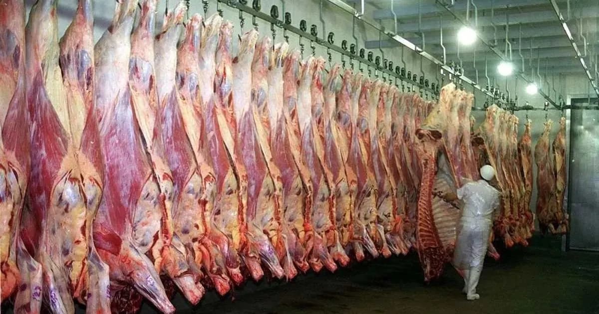 Frigorífico General Pico retoma la producción tras meses de crisis financiera