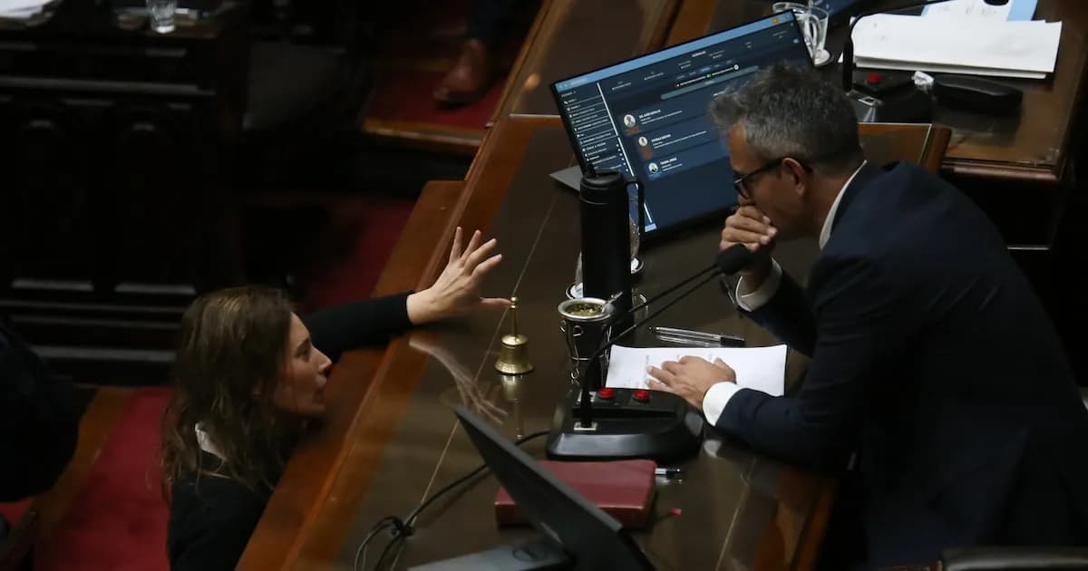 El futuro de las PASO en la agenda legislativa: Diputados aguarda al Senado