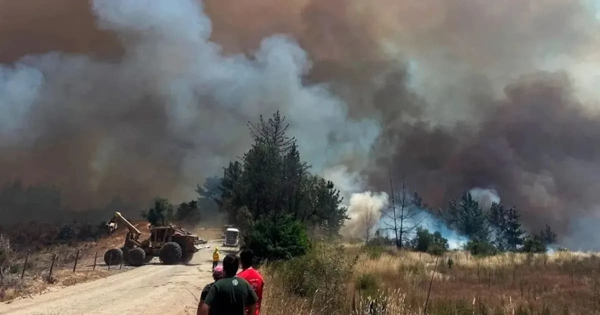 Chubut: Continúa la lucha contra incendios en el Parque Nacional Los Alerces