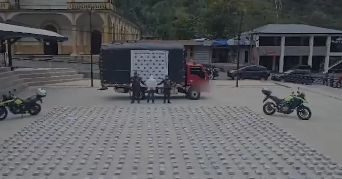 Desmantelan un alijo de casi 900 kg de marihuana en Mallama, Nariño