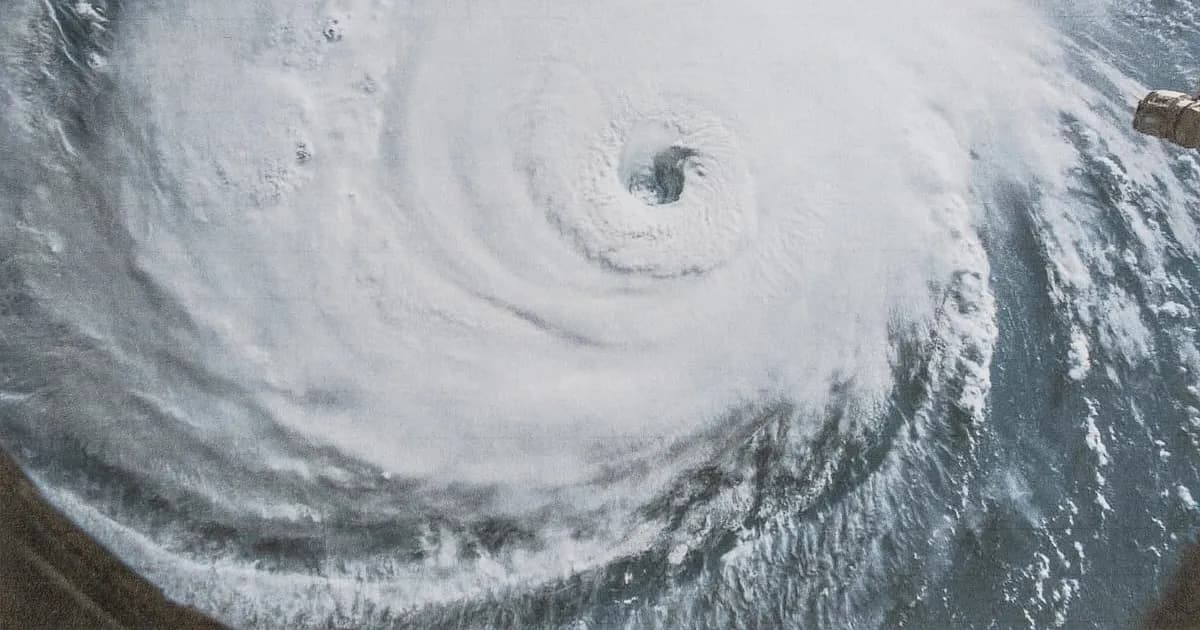 Efectos a Largo Plazo de Desastres en la Salud Mental: Un Estudio Revelador