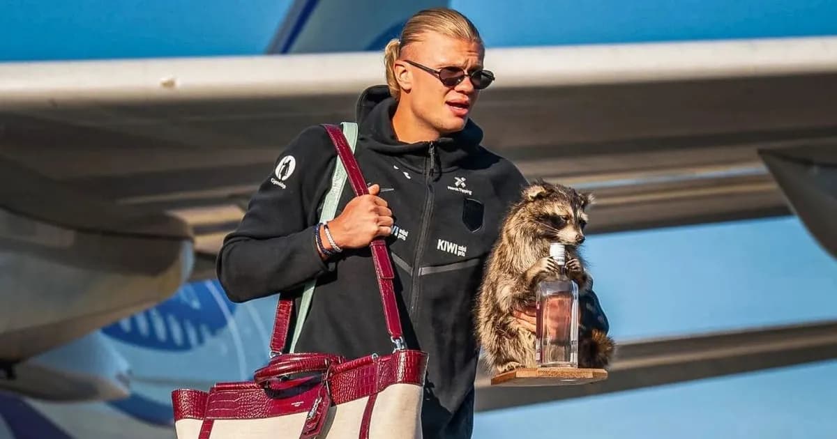 Haaland y su curioso recuerdo del Mundial 2026: un mapache que sorprende en redes sociales