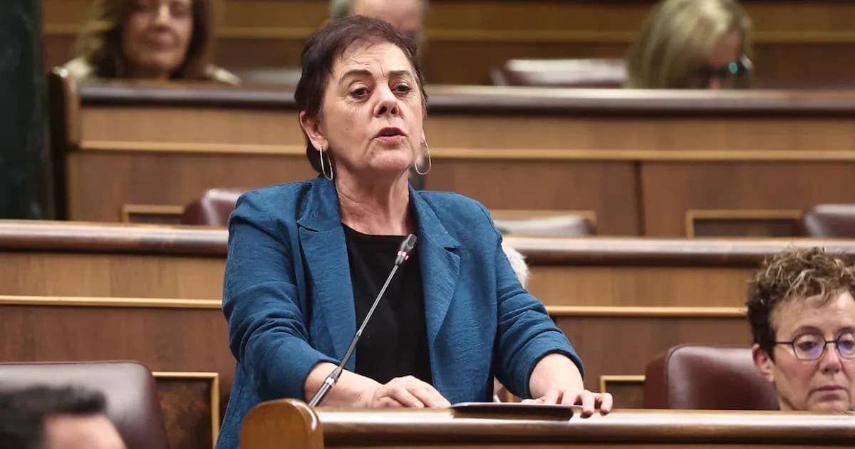 EH Bildu critica el rechazo al escudo social y la falta de transparencia sobre el 23F