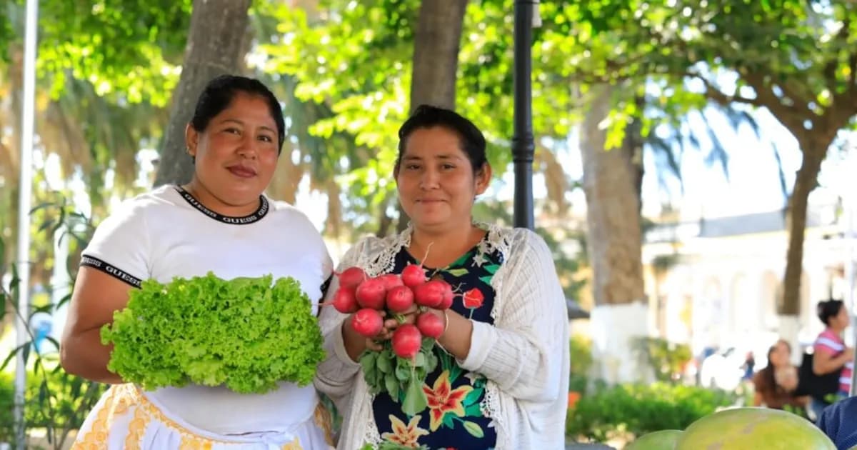 Agricultura protegida mejora la economía de familias en El Salvador
