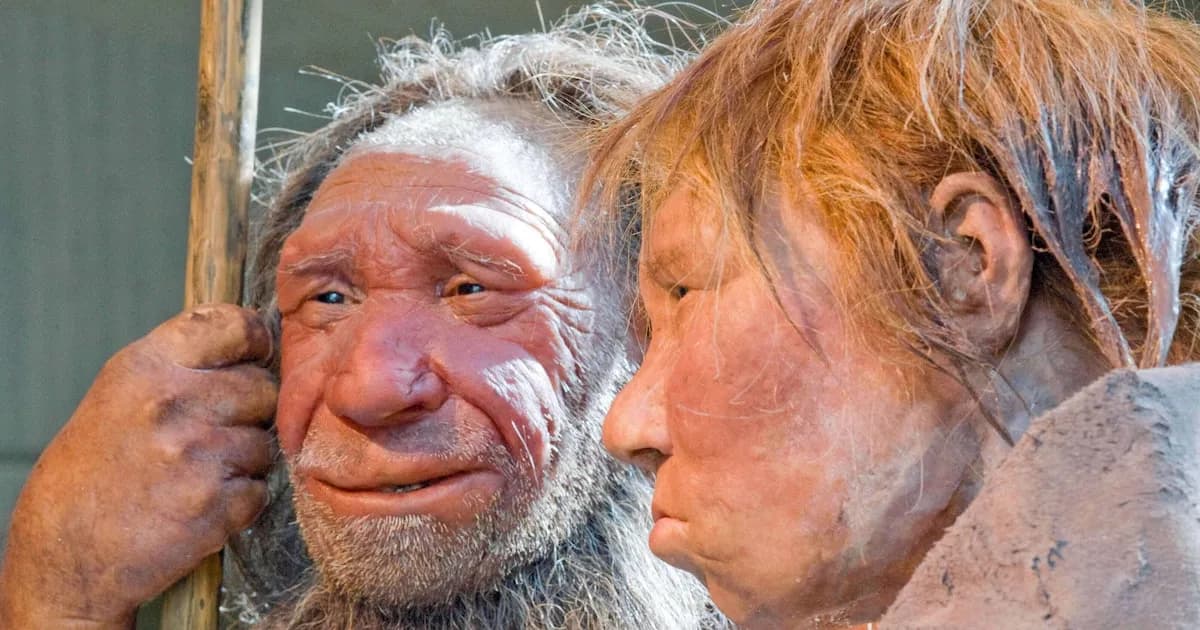 Estudio revela que neandertales preferían emparejarse con mujeres Homo sapiens