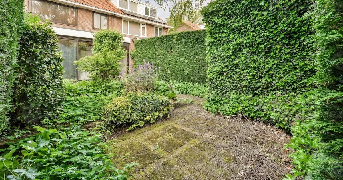 Multas a dueños de propiedades por setos y árboles que no cumplen con la normativa