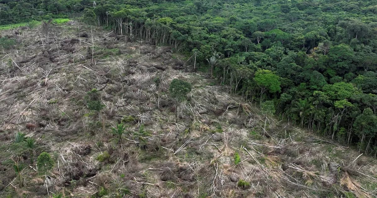 Salud publica: La deforestación en la Amazonía incrementa el calor y reduce las lluvias, según un análisis satelital
