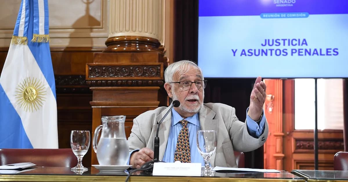 Senado evalúa nuevo Régimen Penal Juvenil: libertarios y dialoguistas en la mira