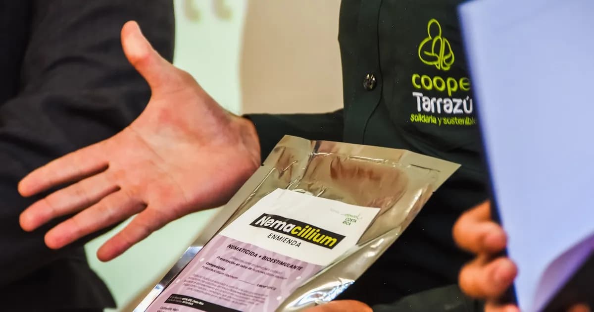 Innovador producto biológico para combatir plagas en la caficultura de Costa Rica