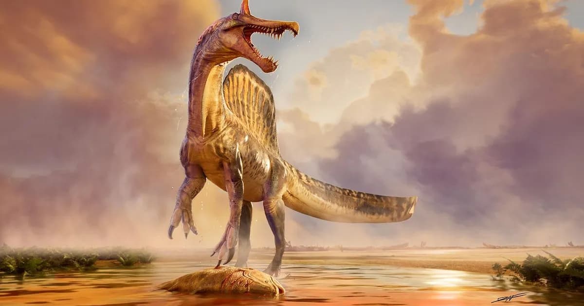 Descubren un fascinante dinosaurio en el Sahara que asombra a los científicos
