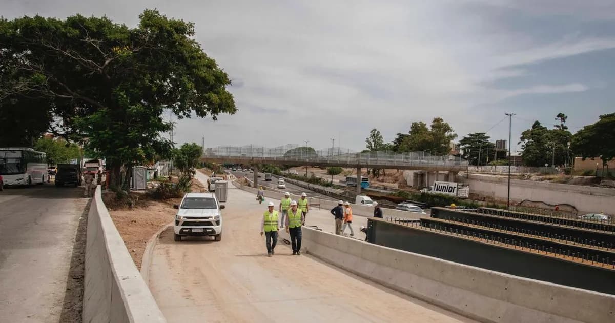 Transformación de la Dellepiane: una nueva Autopista Parque en CABA