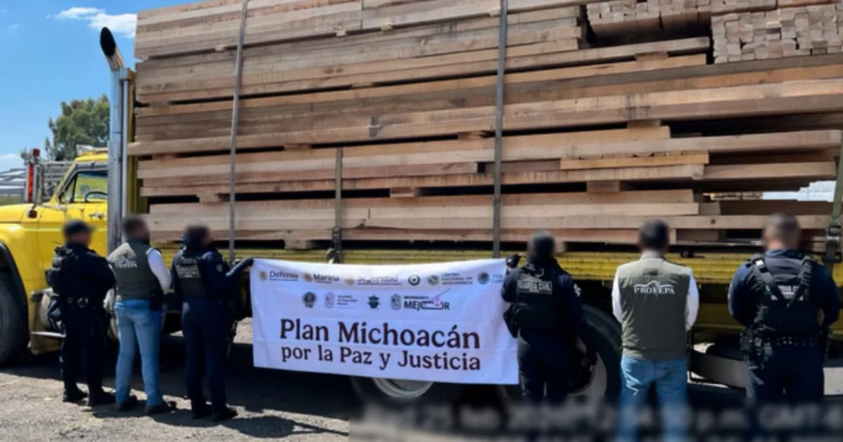 Operativo en Michoacán: 14 detenidos por tala ilegal de madera