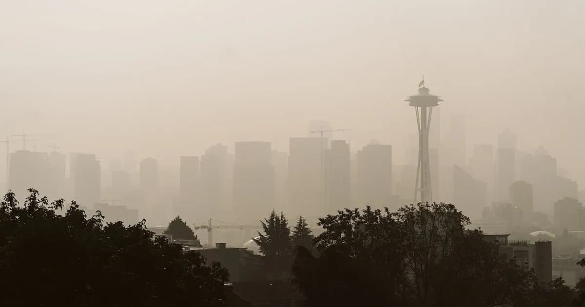 El humo de incendios forestales vinculado a un aumento de agresiones violentas