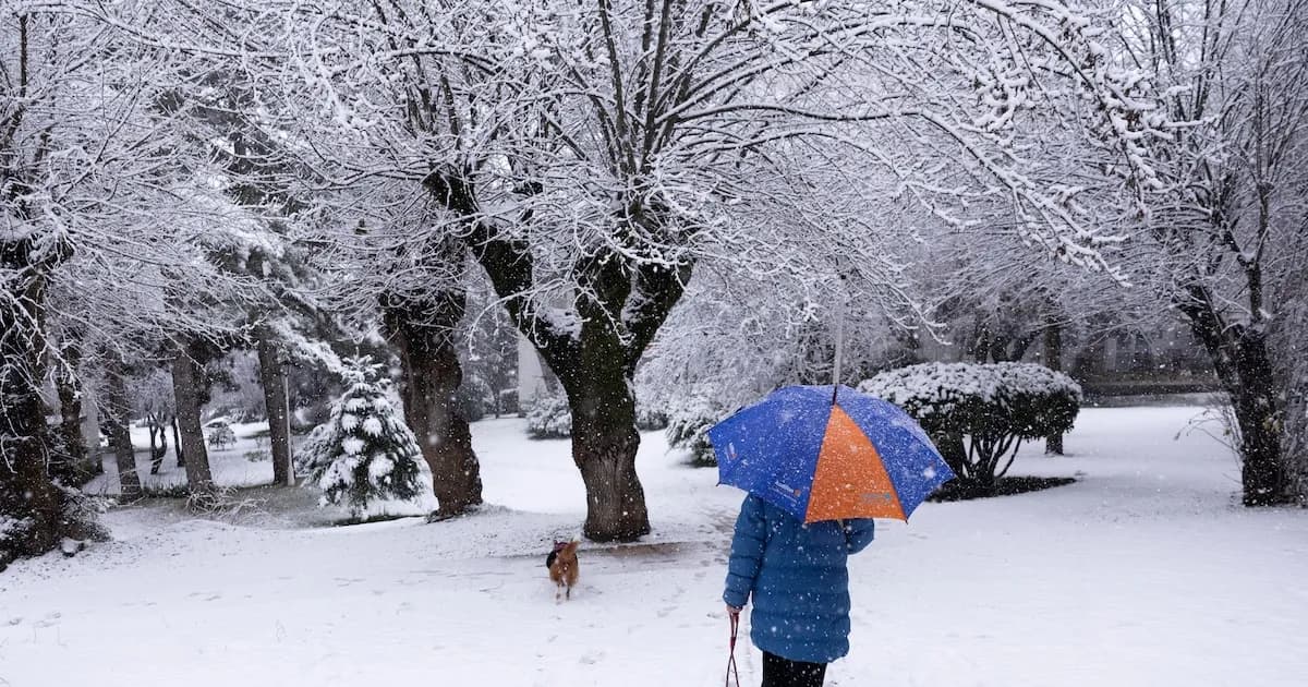 Disminución drástica de días fríos en España por el cambio climático