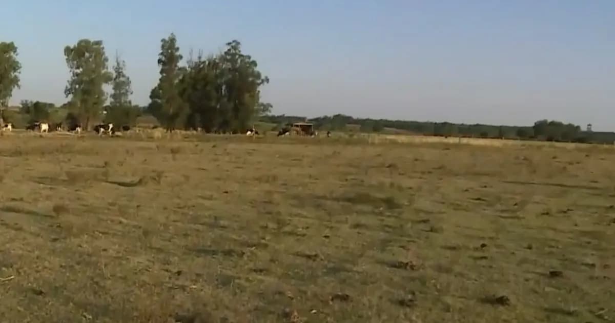Crisis hídrica en Uruguay: la sequía afecta reservas y futuro incierto para el agro