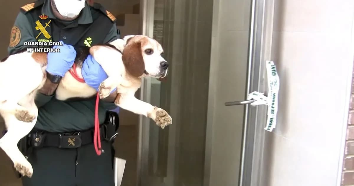 Extraditan al criador de perros de Melgar, fugado desde 2020, tras ser hallado en Venezuela