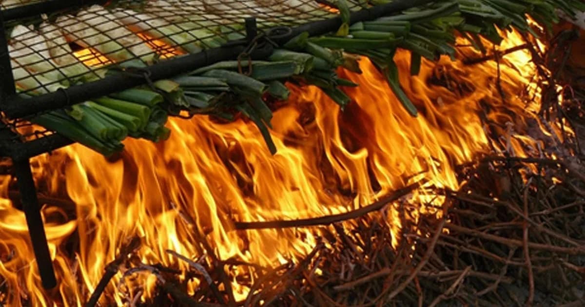 Descubrí Nulles: El encantador pueblo argentino con calçots y vinos excepcionales