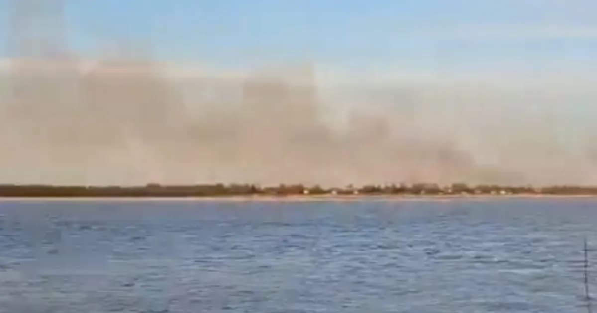 Incendio arrasa 400 hectáreas en el Delta del Paraná cerca de Rosario