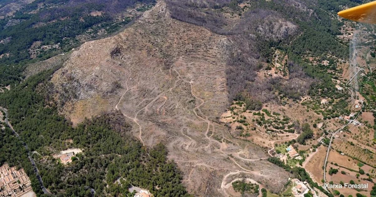 Reducción de pena para autor de devastador incendio en Baleares