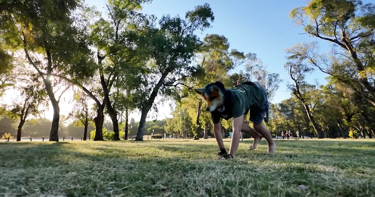 Therians: Identidad animal y el debate sobre la autoexpresión en la sociedad contemporánea