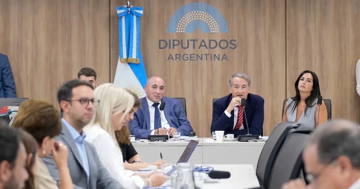 La oposición logra postergar la votación de la ley de Glaciares en Diputados por un mes