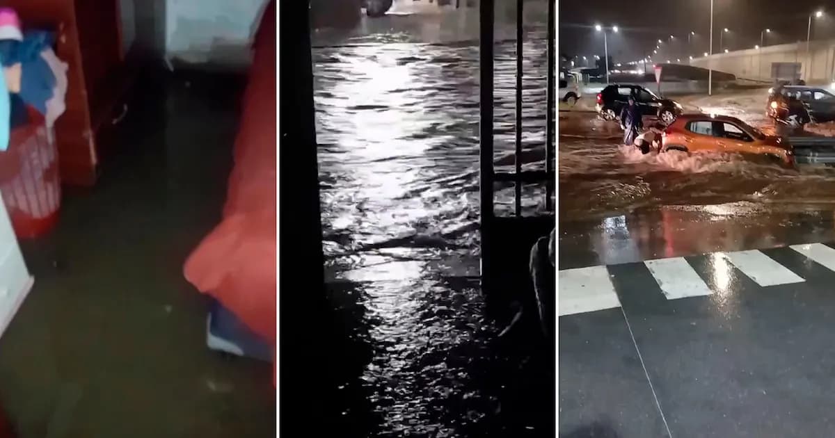 Intensas lluvias en La Rioja: un puente colapsa y la terminal de micros se inunda