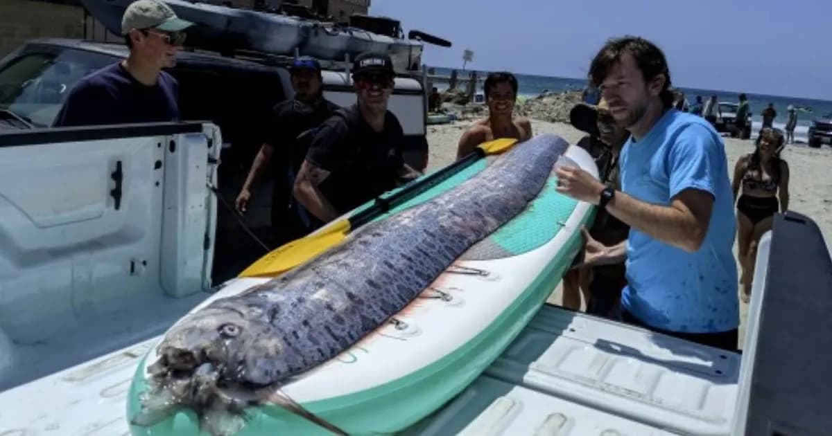 Avistamiento de oarfish en Cabo San Lucas genera temor por desastres naturales