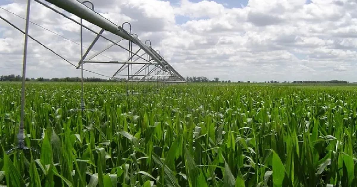 El riego como motor de empleo y producción en Argentina