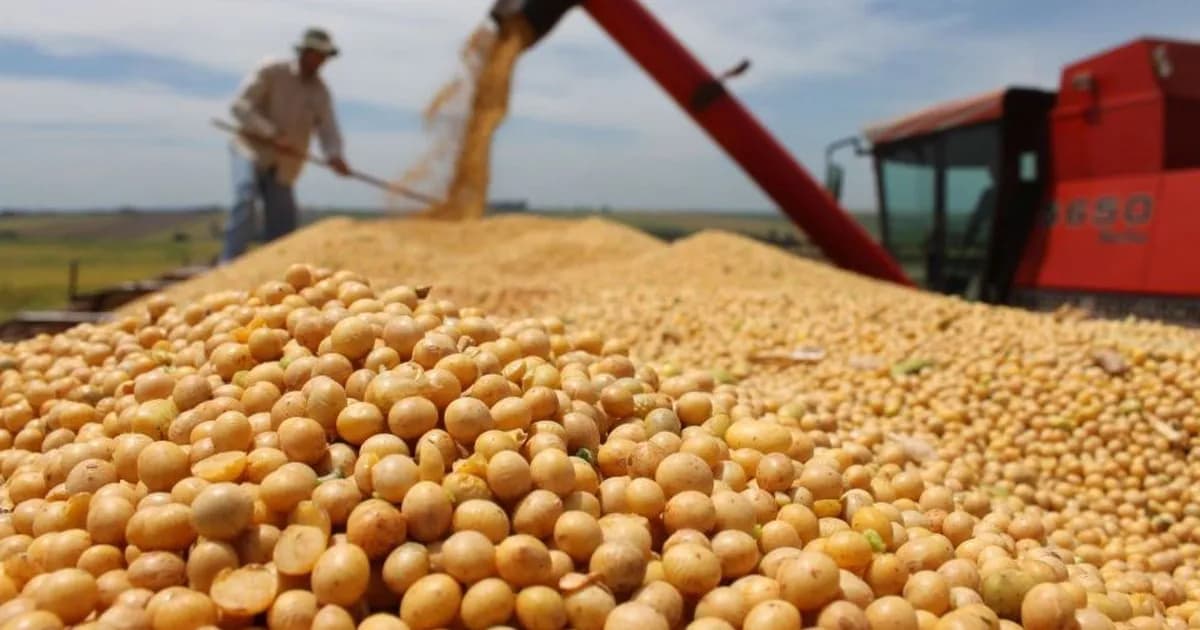 El rol de la agricultura y la tecnología en el futuro de las exportaciones argentinas