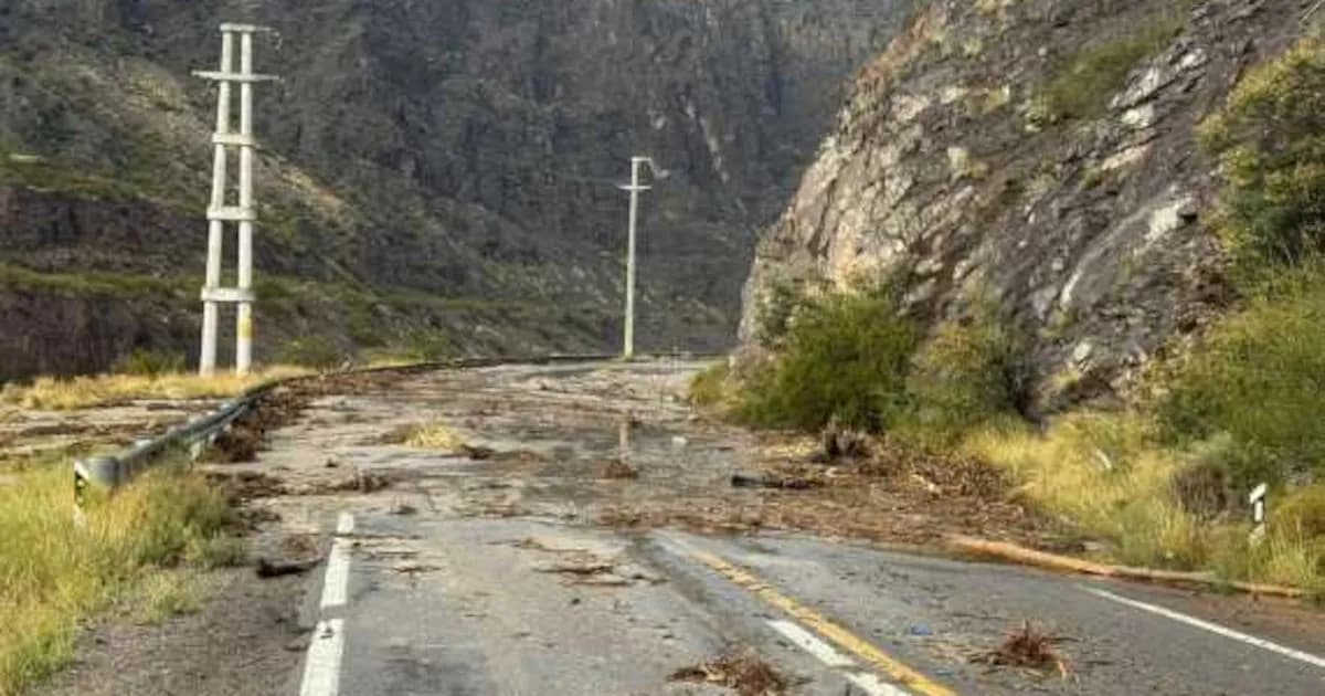 Fuerte temporal en Mendoza: inundaciones y rescates tras intensas tormentas
