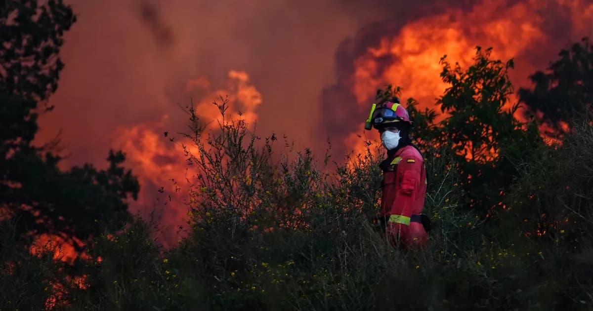 Panamá enfrenta 1,114 incendios forestales en lo que va del año