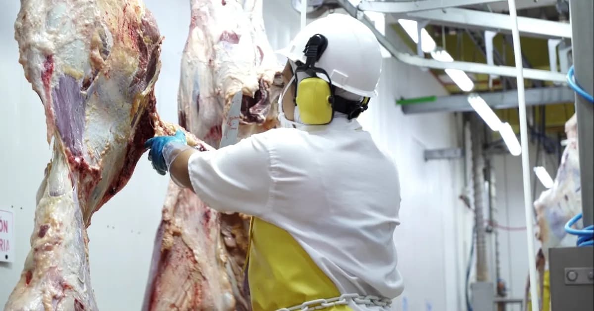 Las exportaciones ganaderas de Colombia inician el año con dificultades significativas