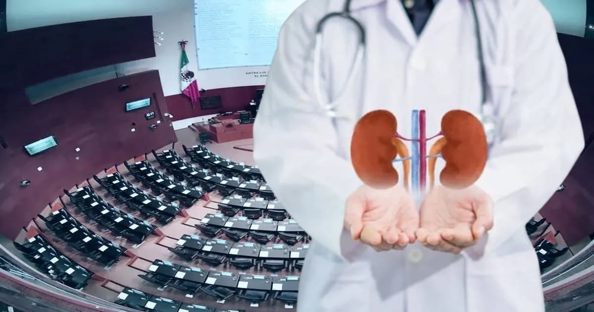 El Senado impulsa un Registro Nacional de Enfermedades Renales para optimizar la atención médica